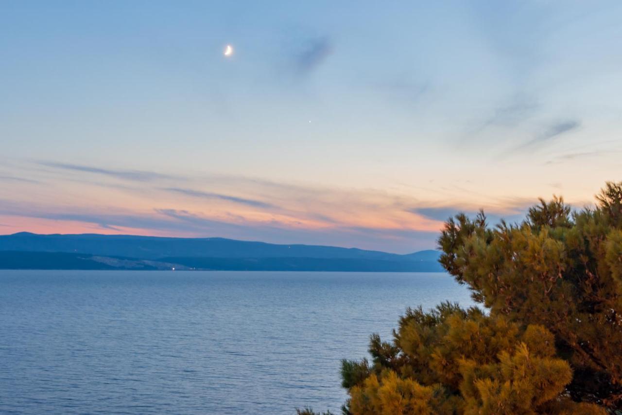 Apartments Villa Mandolina Marusici  Dış mekan fotoğraf